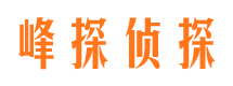 麻栗坡调查事务所